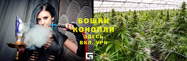 mdpv Богородицк