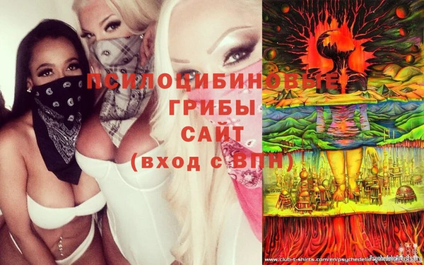 амф Богданович