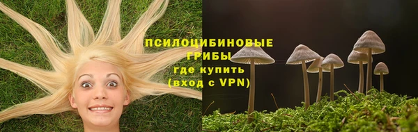 mdpv Богородицк